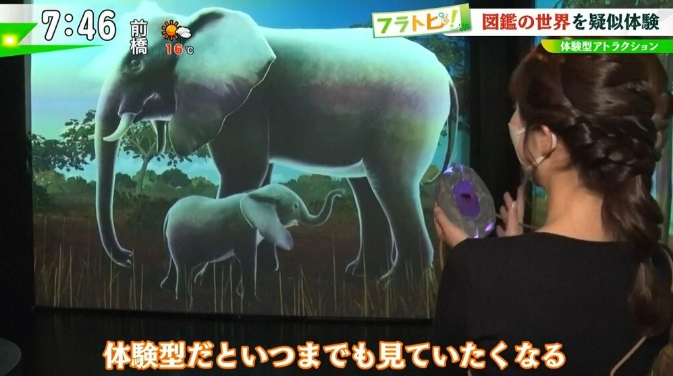 News about Experience-type attractions have evolved to this level!